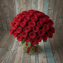 Букет 55 Красных роз Фридом #REPLACE_PRED# Чернышевский