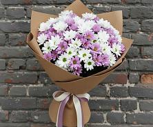 Букет цветов из:  Хризантемы #REPLACE_PRED# Чернышевский